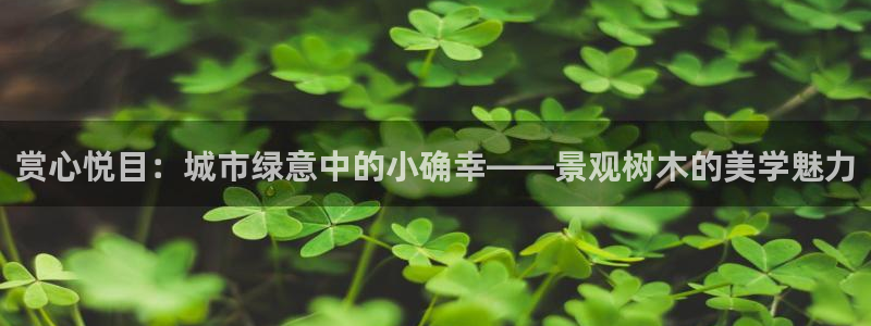 新宝gg测速：赏心悦目：城市绿意中的小确幸——景观树木的美学魅力