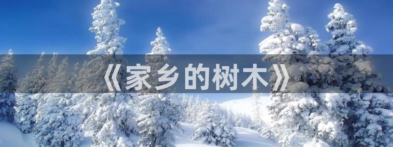 登录新宝gg游戏：《家乡的树木》