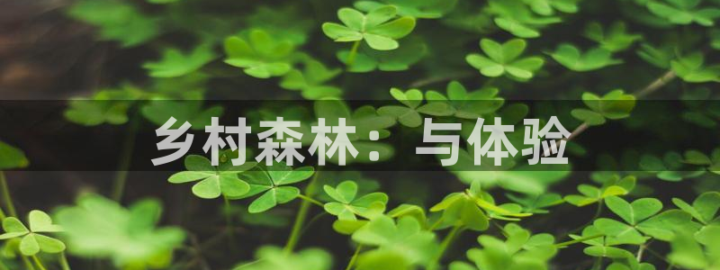 新宝gg奇迹：乡村森林：与体验