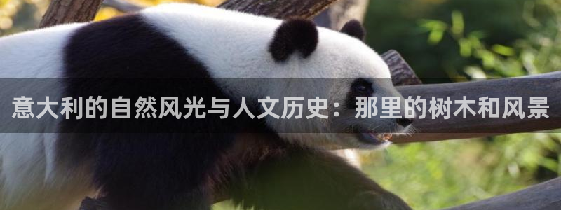 新宝gg客户端下载：意大利的自然风光与人文历史：那里的树木和风景