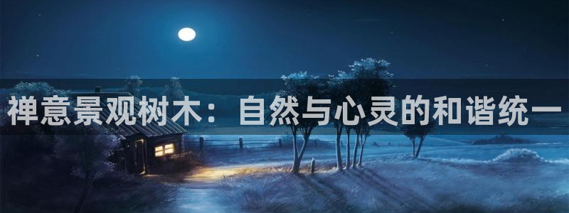 新宝gg指定平台