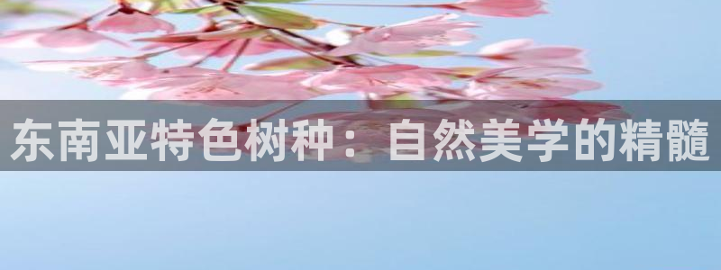新宝gg地址