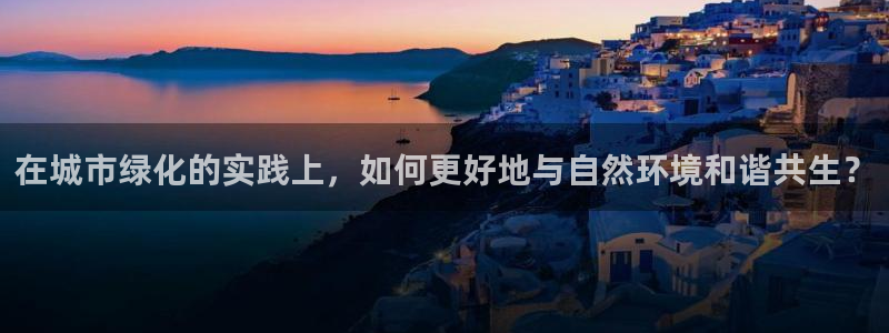 新宝gg介绍
