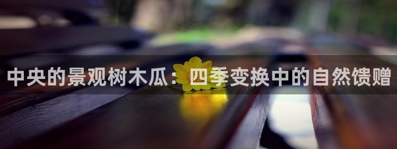 新宝gg扣钱