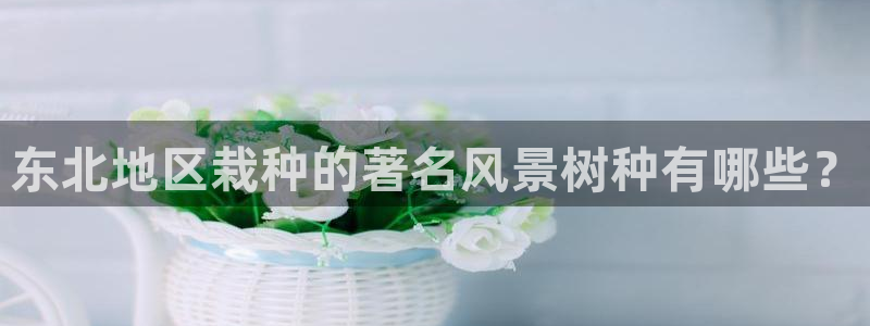 新宝gg玩法