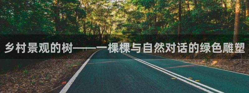 新宝gg手机助手