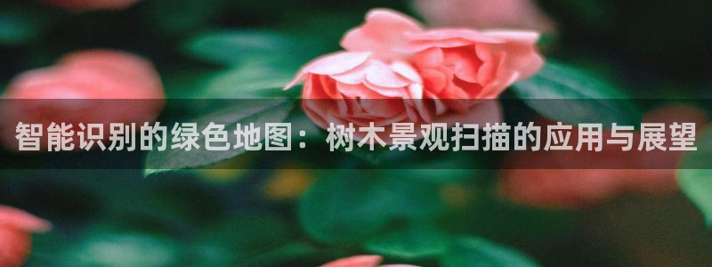 新宝gg网点