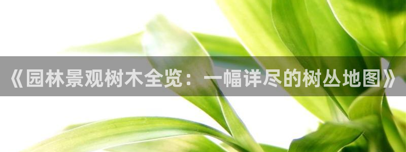新宝gg走势