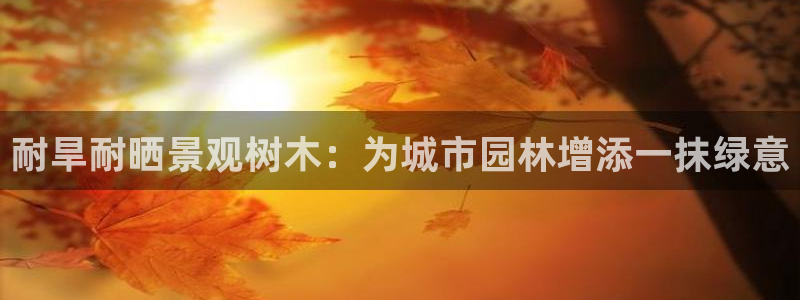 新宝gg帐号注册：耐旱耐晒景观树木：为城市园林增添一抹绿意