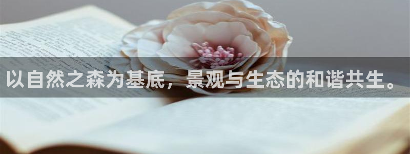 x新宝gg
