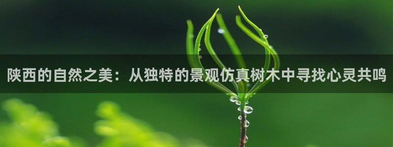 新宝gg返点