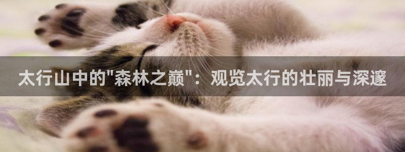 新宝gg如何赚钱