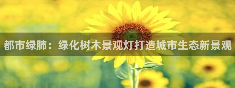 新宝gg联系