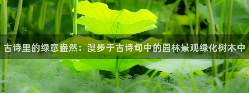 新宝gg会员