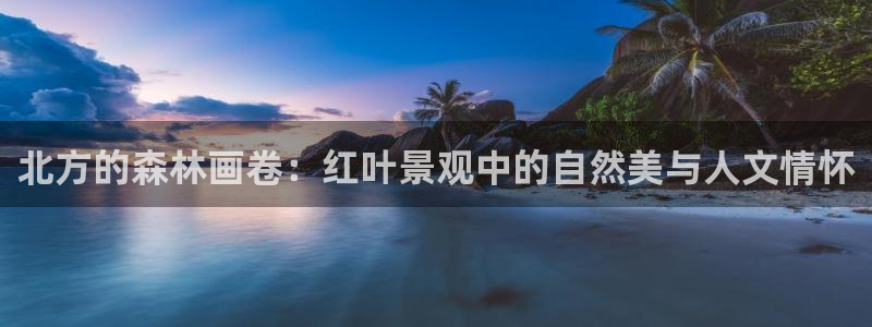 新宝gg代理条件：北方的森林画卷：红叶景观中的自然美与人文情怀