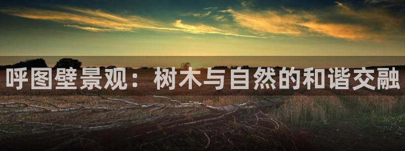 新宝创造Gg：呼图壁景观：树木与自然的和谐交融