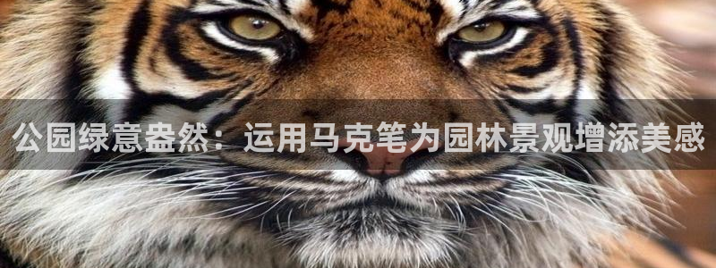 新宝gg怎么做代理