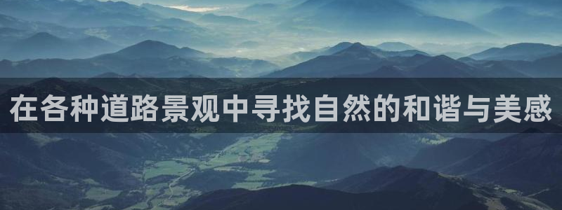 新宝GG娱乐-上皇巢网：在各种道路景观中寻找自然的和谐与美感
