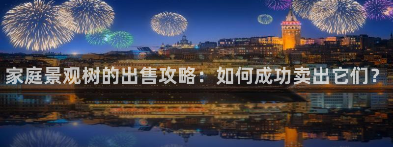 新宝gg信息