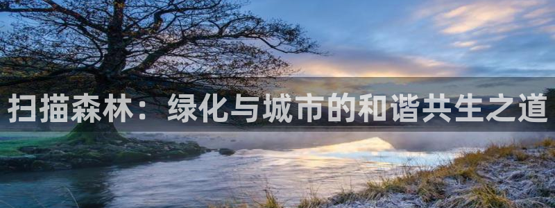 新宝gg可靠