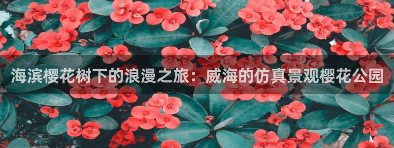 新宝gg下载官网下载