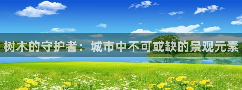 新宝gg注
