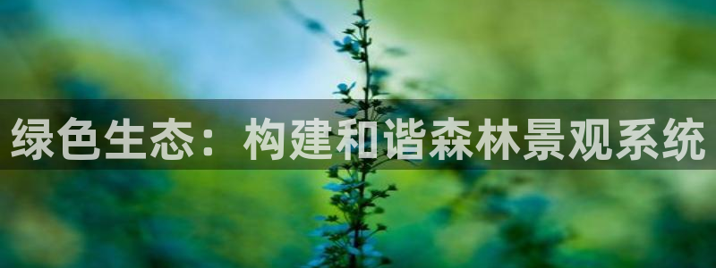 新宝gg主管都是谁：绿色生态：构建和谐森林景观系统